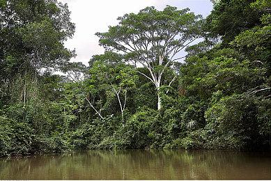 PS5《最终幻想7：重生》更新 解决手柄震动问题